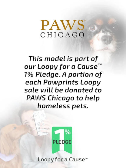 Pawprints